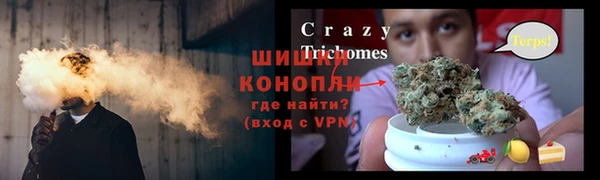 молекула духа Балахна