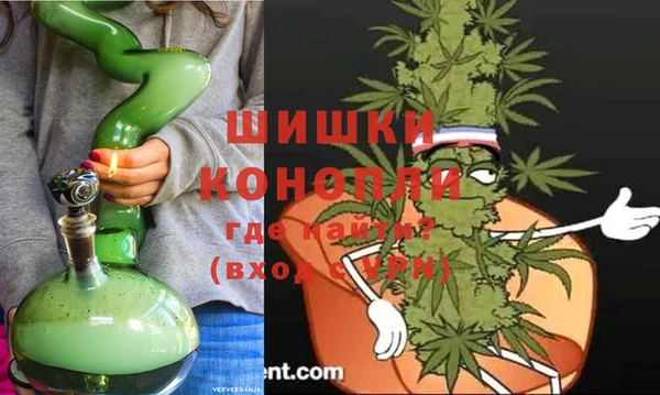 молекула духа Балахна