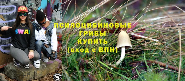 молекула духа Балахна
