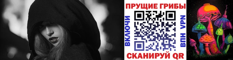 shop Telegram  купить   Уварово  Галлюциногенные грибы GOLDEN TEACHER 
